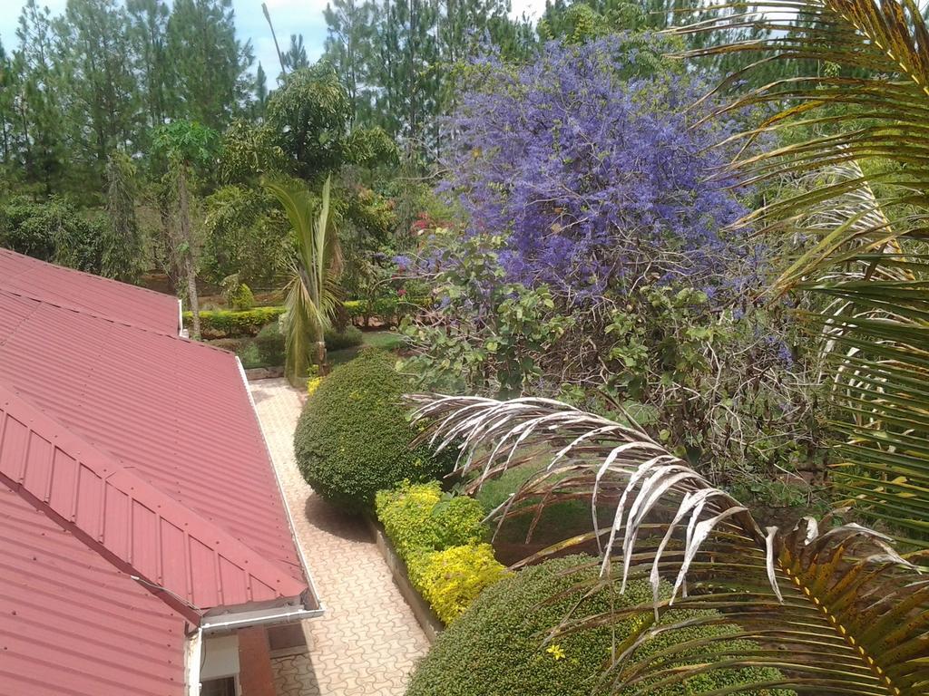 Brownstone Country Home Lira Екстериор снимка
